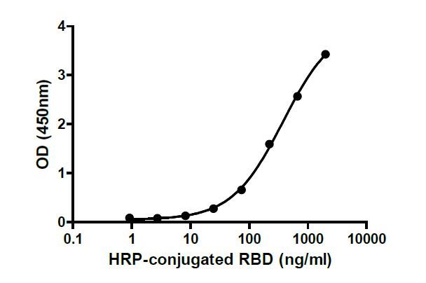 Binding ability measured in a functional ELISA. 2019-nCoV RBD (K417N, E484K, N501Y) binds to immobilized human ACE2 (19-740) protein.